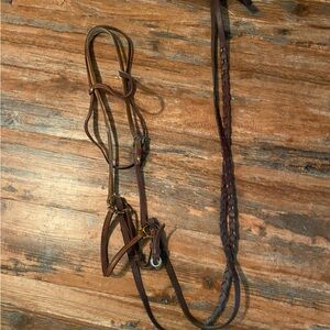 Sidepull and English Reins